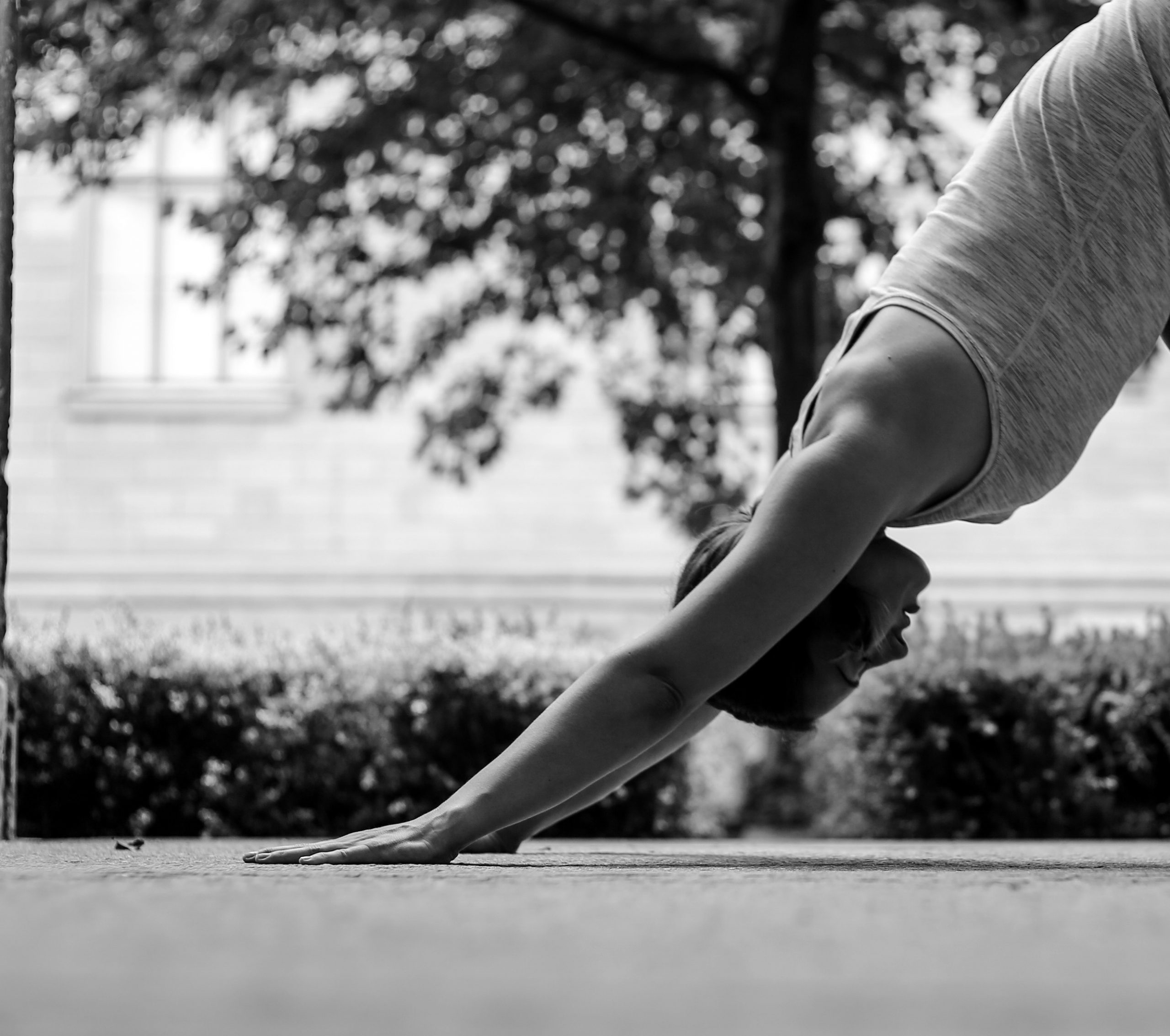 YOGA ONLINE | YOGA SAYA